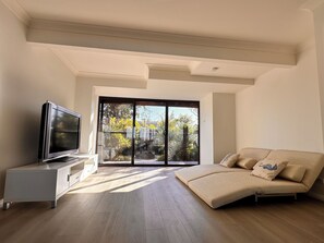Smart TV, video games, books