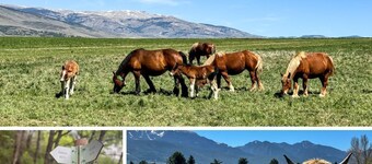 Refugio Sujadaro - Osseja