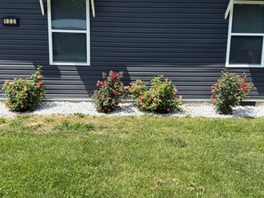 A house with a dark exterior, white window frames, and a number '132' sign. There are five bushes with red flowers in front of the house.