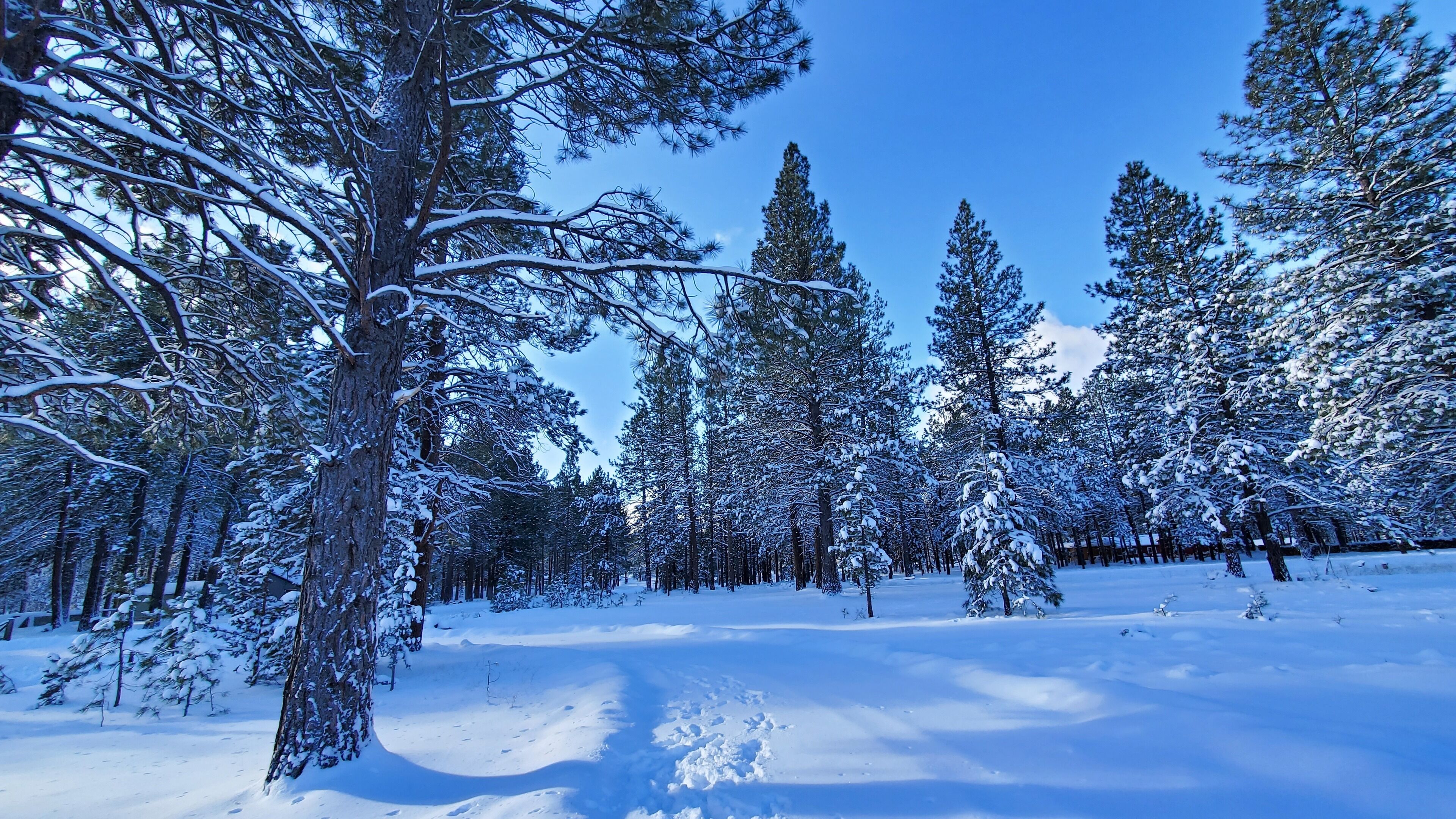 2.5 acres New single level home  7 bedroom 5 full bath 3,462 sqft forest views