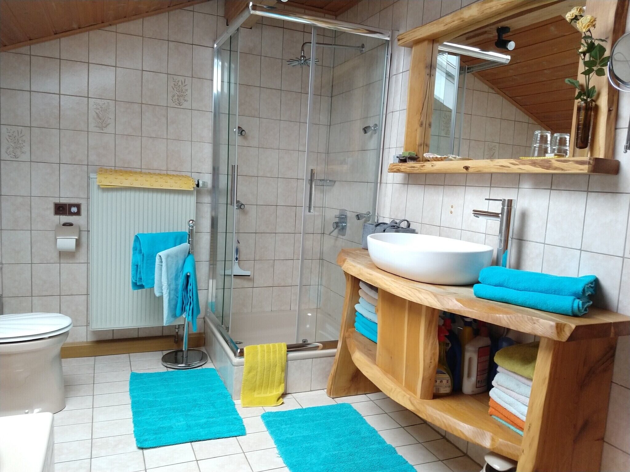 Ducha, secador de pelo, toallas