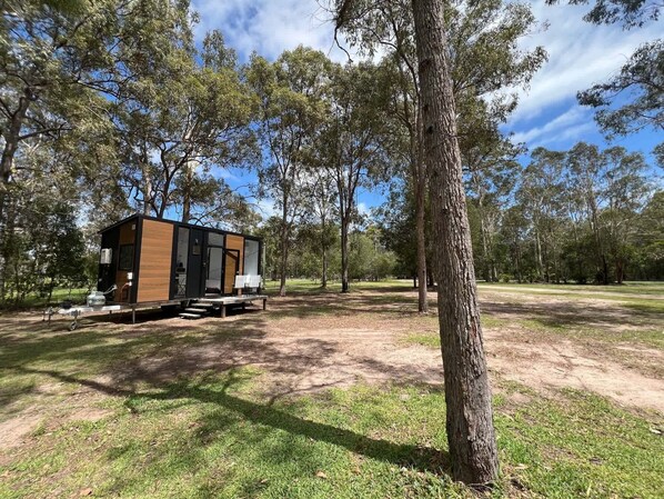 A small, modern cabin with a wooden exterior and glass walls, situated in a wooded area with a dirt ground. - Sandy Strait Shack by Tiny Away (Booral)