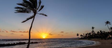 بالقرب من الشاطئ