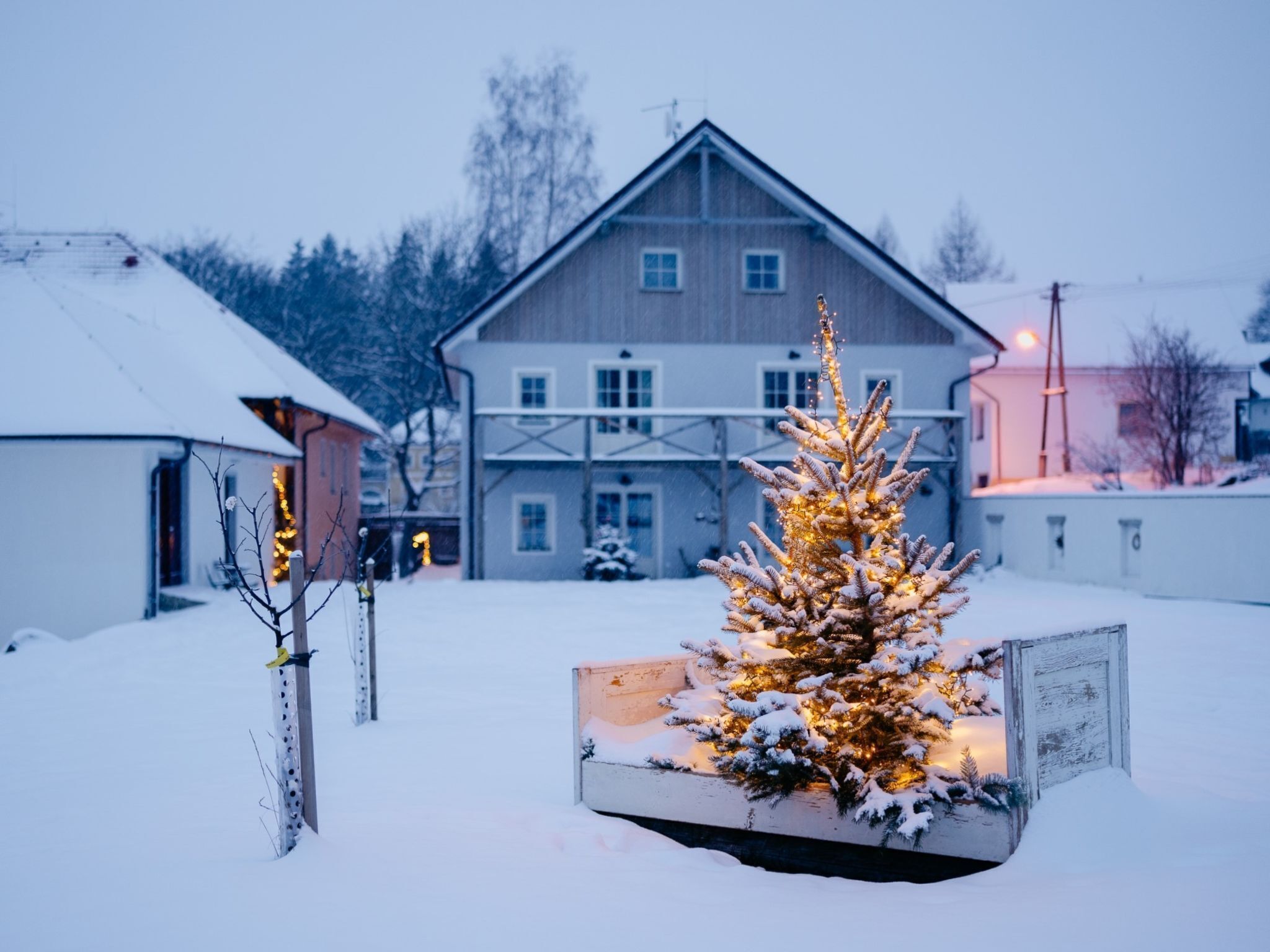 Un paysage enneigé avec un banc en bois et un petit sapin de Noël décoré au premier plan.