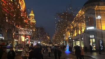 A cobblestone street lined with buildings and illuminated by string lights.