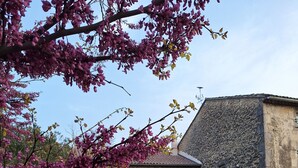 Property grounds - Valentin's cottage Moulin de Tartay Avignon (Avignon)