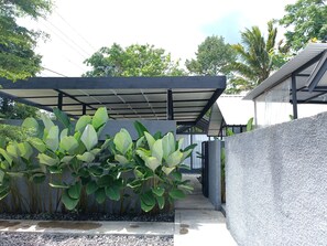 Un espacio al aire libre cubierto con un camino de hormigón, rodeado de grandes plantas verdes y una pared gris.