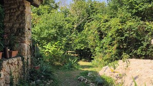 A stone pathway leading to a rustic building with a tiled roof, surrounded by dense greenery and trees. - Le Mas Brantôme (Brantôme en Périgord)