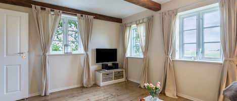 TV, ping pong, stereo