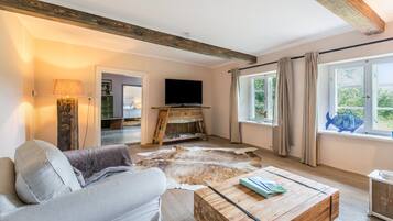 TV, fireplace, table tennis, stereo