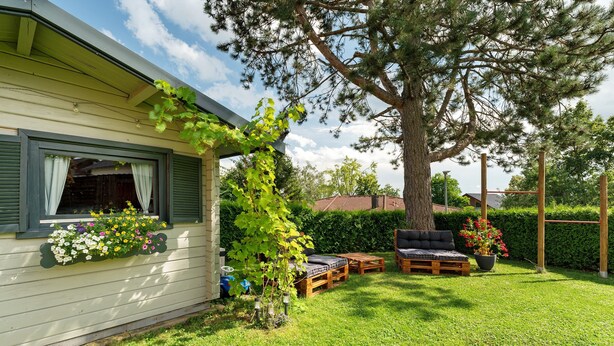 A house with a garden, outdoor seating, and a large tree.