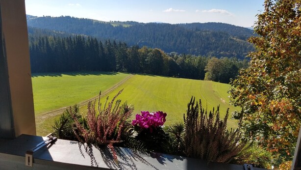 A view from a window overlooking a green field and forested hills. - Grabmeier holiday flat - number 3’ with mountain view, balcony and Wi-Fi (Grainet)