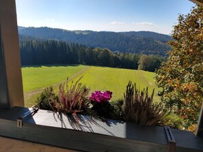 Blick aus einem Fenster auf ein grünes Feld und bewaldete Hügel.