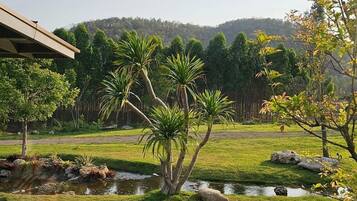 Premier Double Room | Balcony view