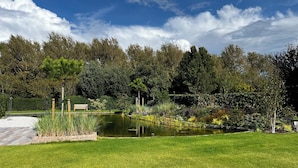 Un giardino curato con uno stagno, una panchina e diverse piante e alberi.