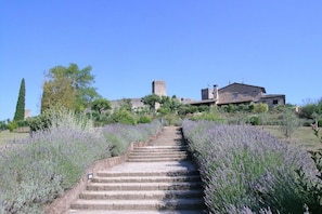 A stone staircase leading to a building with a tower, surrounded by lavender fields.