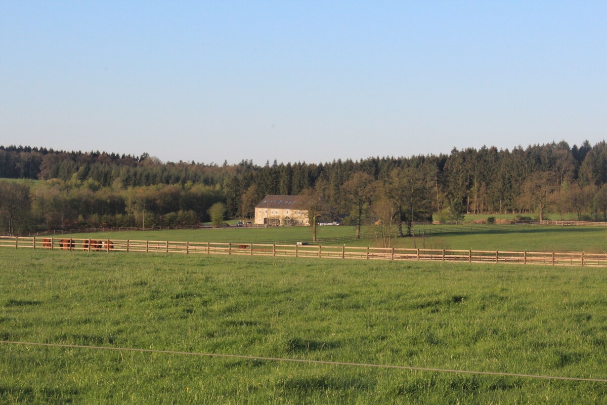 Image de profil de l’hôte