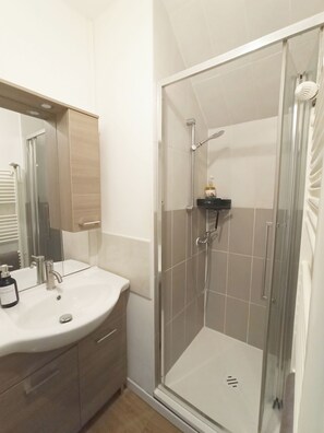 Hair dryer, soap, shampoo, toilet paper