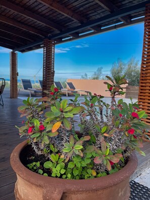 Villa - Villa De La Vita Alykes (Zakynthos)