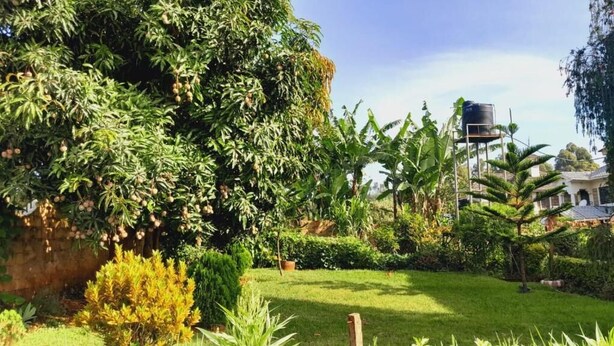Un jardin luxuriant, avec une grande variété de plantes, et un réservoir d’eau en arrière-plan.