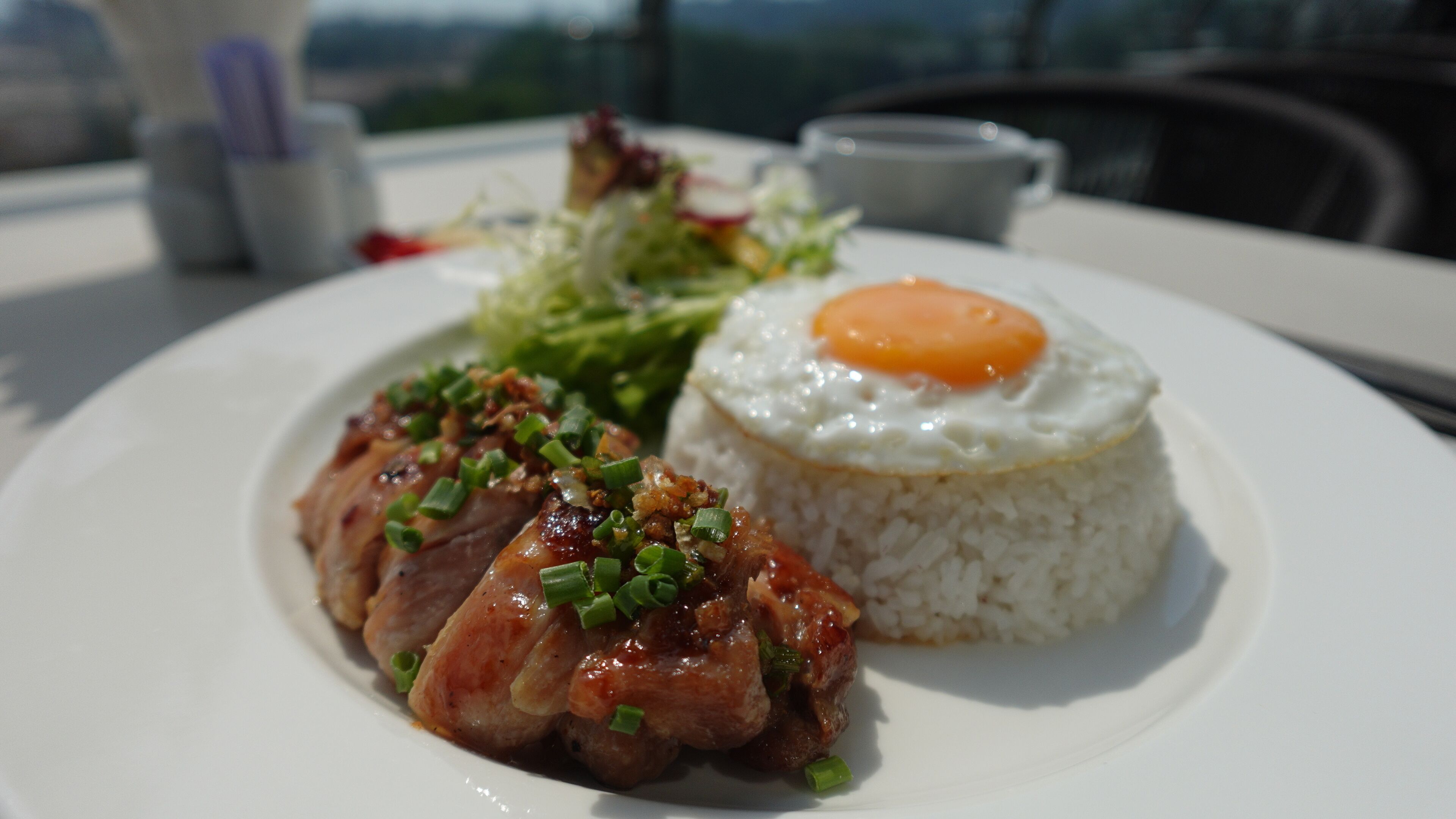 A plate with a grilled meat dish, a fried egg, and rice.