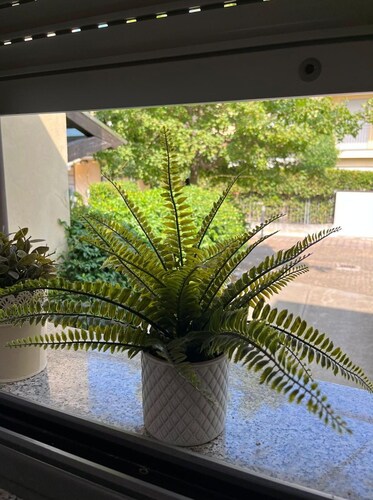 Beautiful apartment for 4 guests with WIFI, A/C and TV, close to Rimini