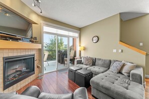 TV, fireplace, DVD player
