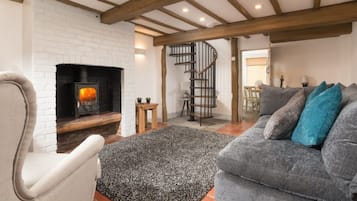 Smart TV, fireplace, books