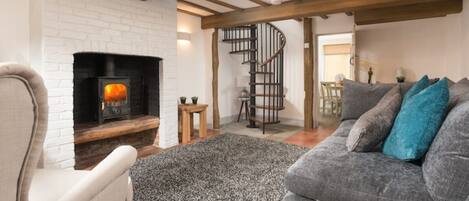 TV connectée, cheminée, livres