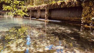 Un plan d’eau aux eaux claires, avec une formation rocheuse et des arbres en arrière-plan.