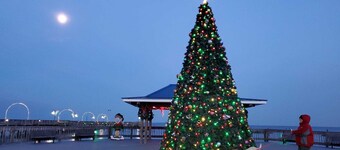 Unbelievable beach views for 6