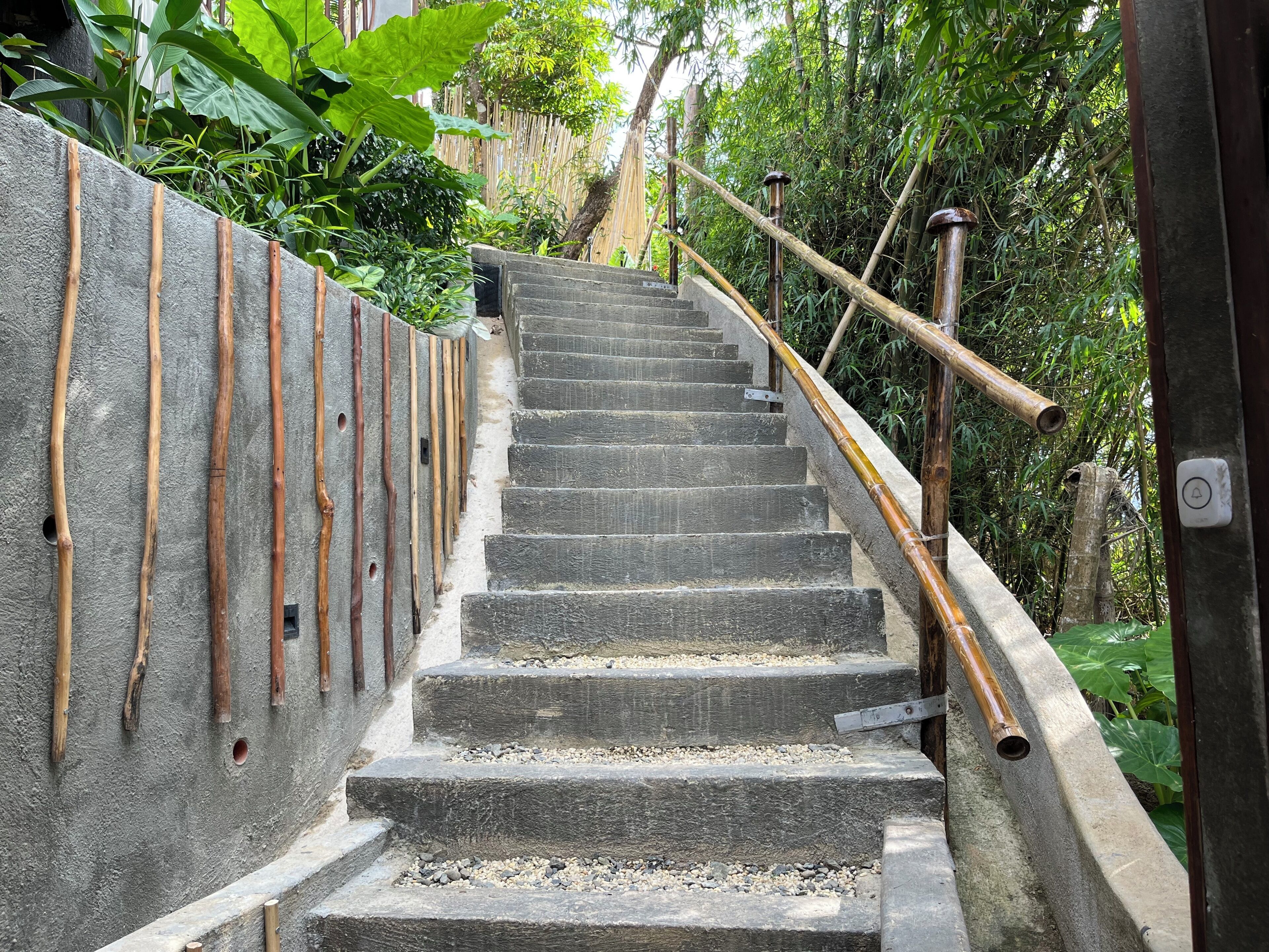 Una escalera de concreto con barandas de metal, rodeada de follaje denso.