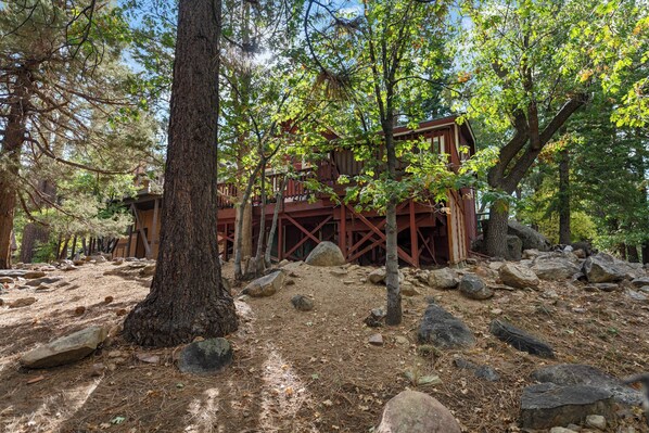 Property grounds - Robins Nest - Walk to Slopes, Hot Tub, Deck, BBQ (Big Bear Lake)