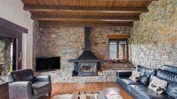 Fernseher, Kamin