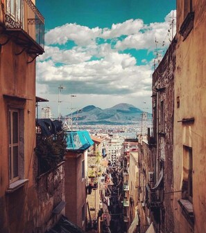 Vista desde la propiedad