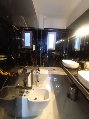 Shower, hair dryer, bidet, towels
