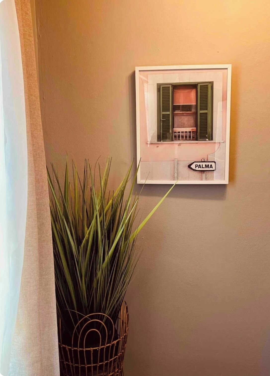 Un climatiseur fixé au mur, avec une étiquette indiquant le mot « PALMA », et une plante en pot placée à côté.