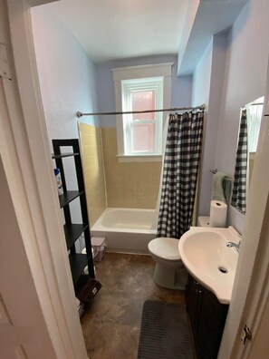 Shower, towels - St. Louis 1BR Apartment w/ Fenced Backyard, On-Site Laundry & Pet-Friendly (St. Louis)