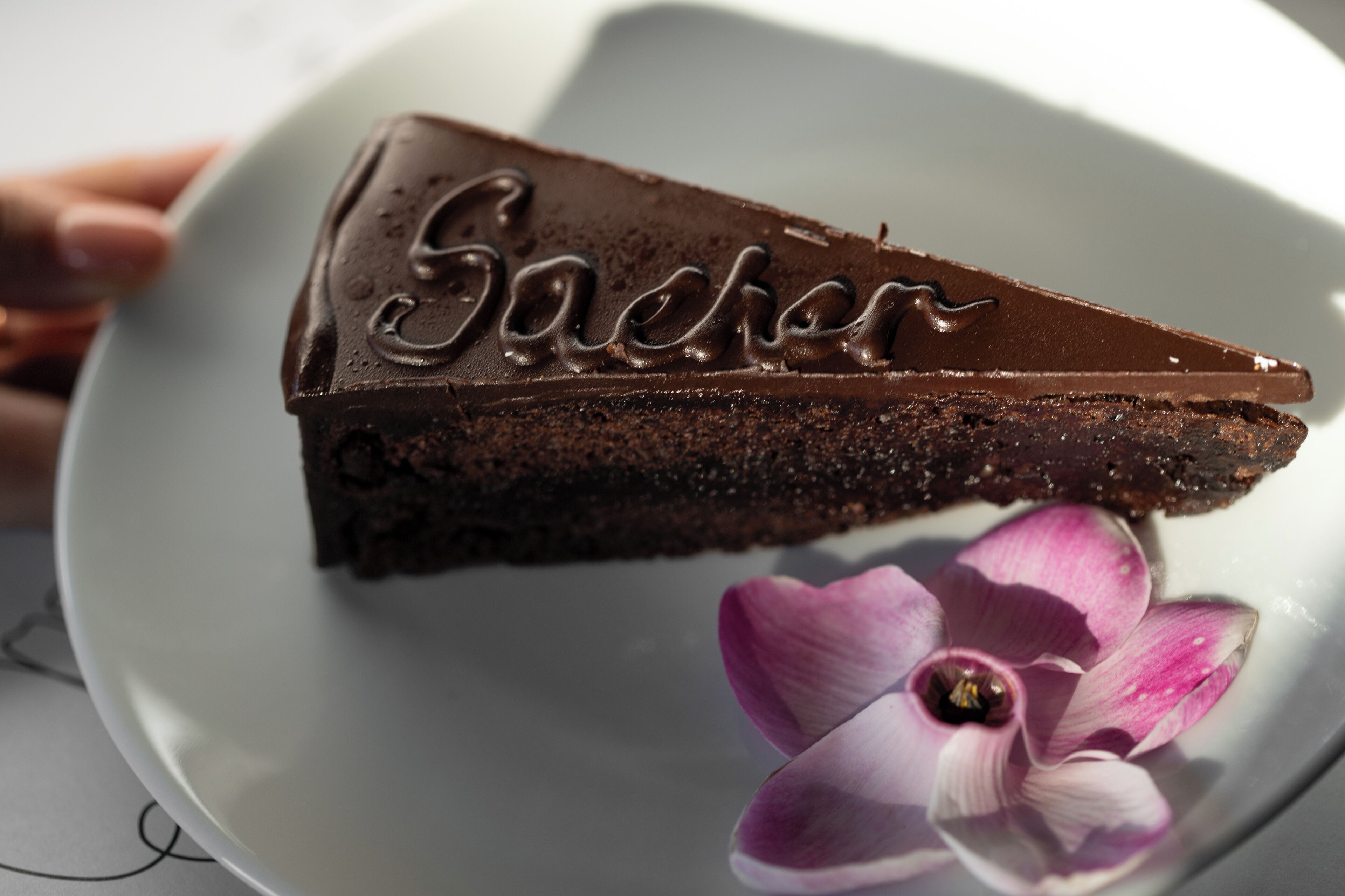Ein Stück Schokoladenkuchen mit dem Schriftzug "Sacher", serviert auf einem weißen Teller mit einer violetten Blume daneben.