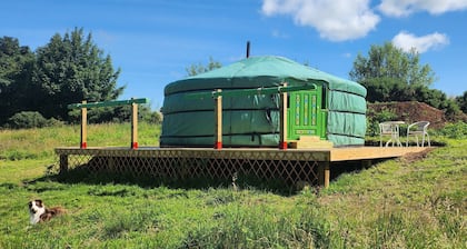 Cozy Yurt in the heart of Tyrone countryside.