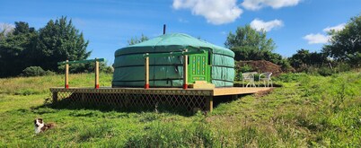 Cozy Yurt in the heart of Tyrone countryside.