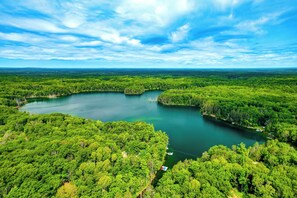 Un lago extenso rodeado de un bosque frondoso, con cielos despejados arriba.