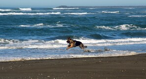 Plage