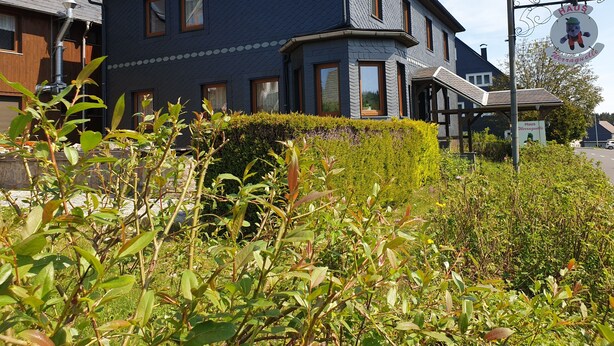 A two-story house with a dark blue exterior, multiple windows, and a covered porch area. - Siegmundsburger Haus Werraquelle here apartment "Rennweg" - ground floor, pet friendly (Siegmundsburg)