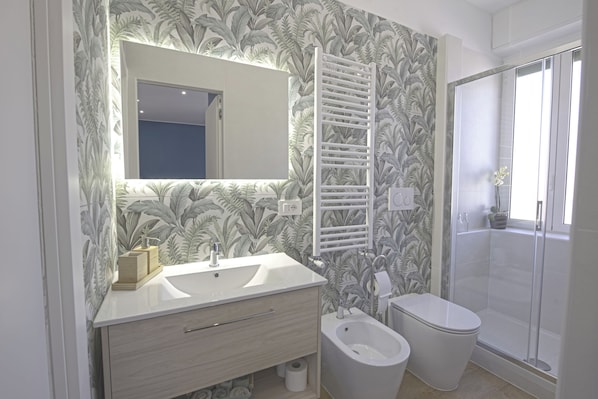 Shower, hair dryer, bidet, towels