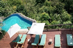 Outdoor pool - Natura Villa Ubud Bali (Bali)