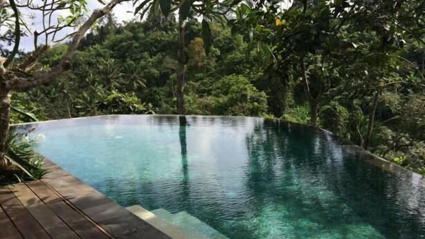 A clear infinity pool surrounded by lush greenery. - Natura Villa Ubud Bali (Bali)