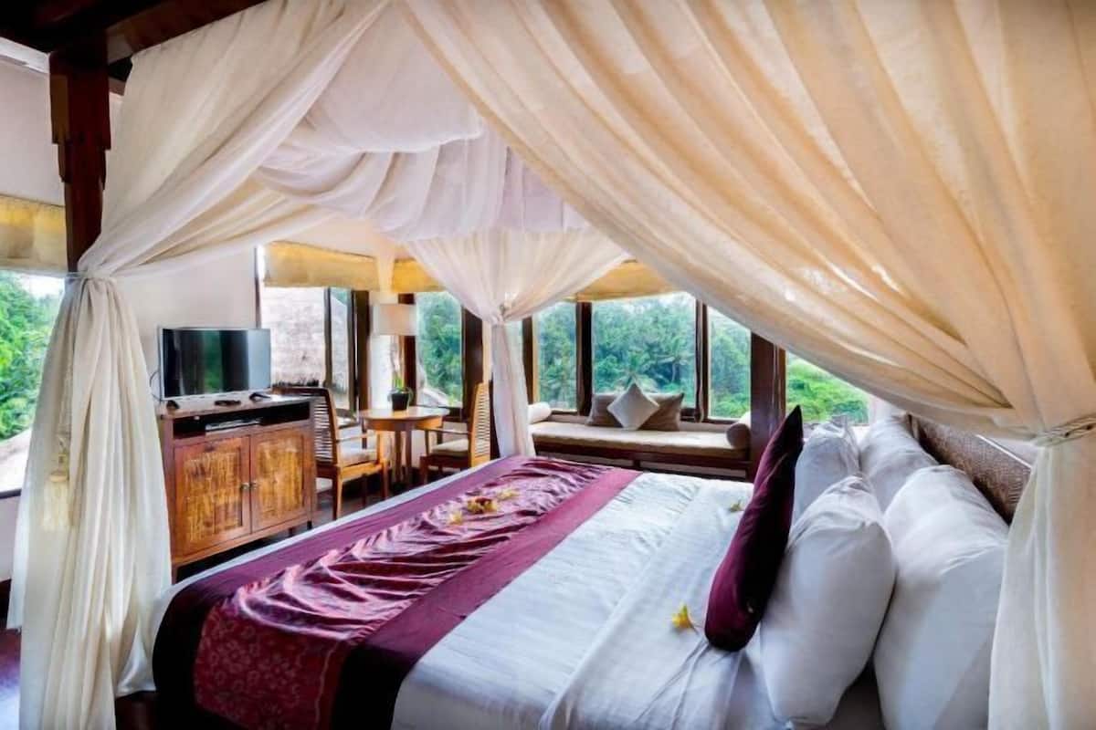 Un dormitorio con cama con dosel, un televisor sobre un mueble de madera, y vistas a la vegetación exterior.