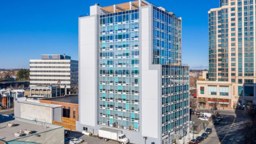 The Standard - STR-1207