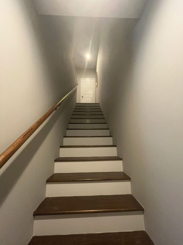 A staircase with wooden steps and a handrail, leading to a white door at the top.